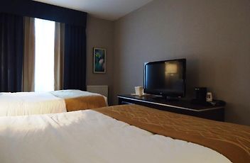 Comfort Inn Toronto City Centre